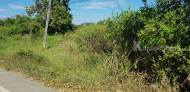 ที่ดินราคาถูก ที่ดินเกษตร พอเพียง จัดสรร บรรยากาศดี ใกล้แหล่งชุมชน ติดถนน 4 ด้าน น้ำไม่ท่วม 29-2-13 ไร่