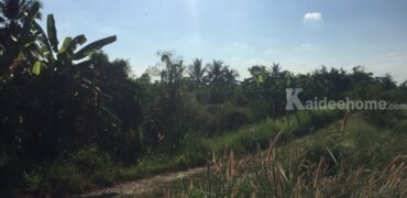 ที่ดินสวย 26 ไร่ 1 งาน 51 ตารางวา ติดถนนใหญ่ลำลุกกา คลอง 10 การเดินทางสะดวก จุดขึ้นลงทางด่วนในอนาคต