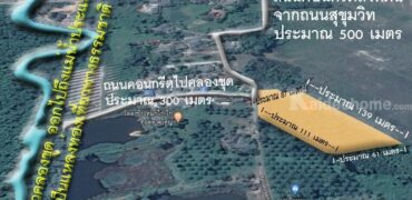 ขายที่ดิน พร้อมสวน 6 ไร่ ต.ทางเกวียน อ.แกลง จ.ระยอง พื้นที่สีส้ม ห่างถนนสุขุมวิทเพียง 500 เมตร