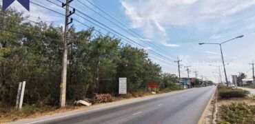 ที่ดินสีเขียว หน้าติดถนนใหญ่ ศาลายา นครปฐม เหมาะกับการลงทุน ที่ตั้ง : ตำบลคลองโยง อำเภอพุทธมณฑล จังหวัดนครปฐม