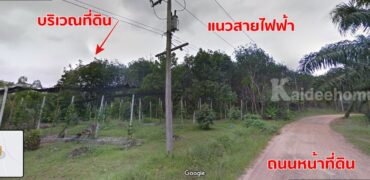ขายที่ดินสวนมังคุด 18 ไร่ อ.ละแม ชุมพร เจ้าของขายเอง