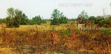 ที่ดินเปล่า พื้นที่สีม่วง เหมาะสร้างโรงงาน แปลงนายาว ที่ตั้ง : ตำบลหัวสำโรง อำเภอแปลงยาว จังหวัดฉะเชิงเทรา