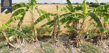 ที่ดิน ถมแล้ว คลองอุดมชลจร ฉะเชิงเทรา ที่ตั้ง : ตำบลคลองอุดมชลจร อำเภอเมือง จังหวัดฉะเชิงเทรา