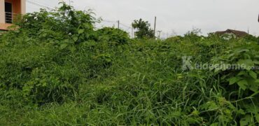 ขายที่ดิน ใกล้โลตัส ถมแล้ว น้ำไม่ท่วม ใกล้โรงเรียนเซนต์แมรี่ ใจกลางเมืองอุตรดิตถ์ ขนาด 123.4 ตร.วา ราคา 1,300,000 บาท