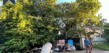 ที่ดิน บางกระดี่ ใกล้เซ็นทรัลพระราม 2 ที่ตั้ง : ถนนบางกระดี่ แขวงแสมดำ เขตบางขุนเทียน กรุงเทพมหานครฯ