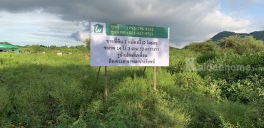 ขายที่ดินเปล่ามีโฉนด 14-3-32 ไร่ แก่งกระจาน เพชรบุรี ห่างถนน 3510 เพียง 600 เมตร ด้านหน้าติดถนนสาธารณะ วิวภูเขา เหมาะทำเกษตรหรืออยู่อาศัย