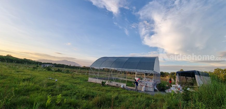 ขายที่ดินทำเกษตรผสมผสาน ทำสวนทุเรียน 19 ไร่ จันทบรี