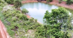 ขายที่ดินปราจีนบุรี กบินทร์บุรี ในลาดตะเคียน 17 ไร่ แปลงมุม ถมแล้ว พร้อมบ่อน้ำสำรอง ราคาถูก เหมาะทำโครงการ