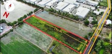 ขาย ที่ดิน ถ.เกตุอ่ำพัฒนา ต.บางคูรัด อ.บางบัวทอง จ.นนทบุรี 3ไร่ ใกล้ ถ.วัดลาดปลาดุก เพียง 500เมตร รายละเอียด ⁃ ขนาด 3 ไร่ ⁃ หน้ากว้าง 32 เมตร ลึก 150 เมตร (โดยประมาณ) ⁃ เขตทางกว้าง 14 เมตร (โดยประมาณ) สถานที่ใกล้เคียง ⁃ ติดกับ SPKแฟคตอรี่ ⁃ ใกล้ ถนนวัดลาดปลาดุก เพียง 500 เมตร ⁃ ใกล้ หมู่บ้านพฤษา3 ⁃ ใกล้ ถ.กาญจนาภิเษก เพียง 7 กิโลเมตร ⁃ ใกล้สถานีรถไฟฟ้าและเซ็นทรัลเวสต์เกต เพียง 8.5 กิโลเมตร พิกัด https://maps.app.goo.gl/im3nUCcfTr4sQ5Tx7?g_st=ic ราคาไร่ละ 5,500,000 บ. ค่าธรรมเนียมและภาษีผู้ขายออกให้ทั้งหมด สนใจติดต่อ : พจ 0959194282 Line : phot_krab