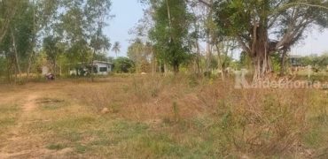 ขายที่ดินพัทยา 8ไร่ ราคาดีที่สุดในพัทยา ไร่ล่ะ3ล้าน รวม24ล้าน ต.หนองปลาไหล อ.พัทยา จ.ชลบุรี ติดต่อ/line 0619419639