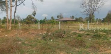 ขายที่ดิน พัทยา 8ไร่ ราคาดีที่สุดในพัทยา ไร่ล่ะ3ล้าน ต.หนองปลาไหล อ.พัทยา จ.ชลบุรี เจ้าของขายเอง ติดต่อ/line 0619419639