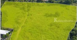 ขายที่ดินบางขะแยง เมืองปทุมธานี ซอยพูลศรี ถนนปทุมธานี-สายใน แยกบางคูวัด เนื้อที่ 13-3-22 ตรว โทร.0956169196