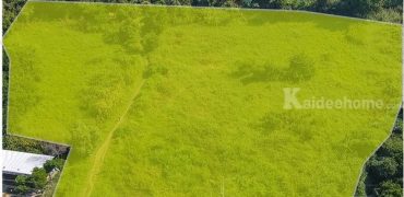 ขายที่ดินบางขะแยง เมืองปทุมธานี ซอยพูลศรี ถนนปทุมธานี-สายใน แยกบางคูวัด เนื้อที่ 13-3-22 ตรว โทร.0956169196