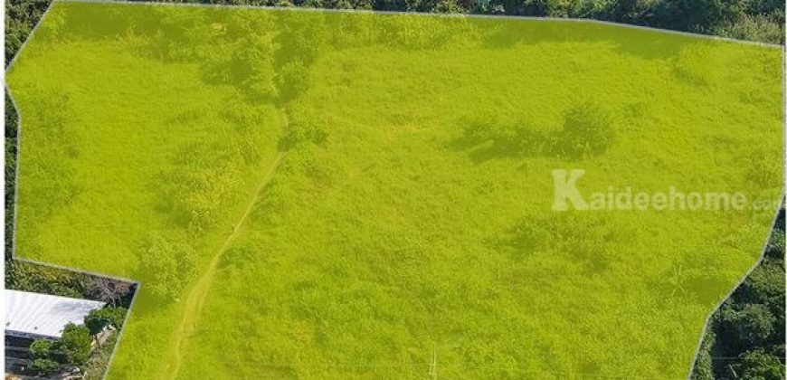 ขายที่ดินบางขะแยง เมืองปทุมธานี ซอยพูลศรี ถนนปทุมธานี-สายใน แยกบางคูวัด เนื้อที่ 13-3-22 ตรว โทร.0956169196