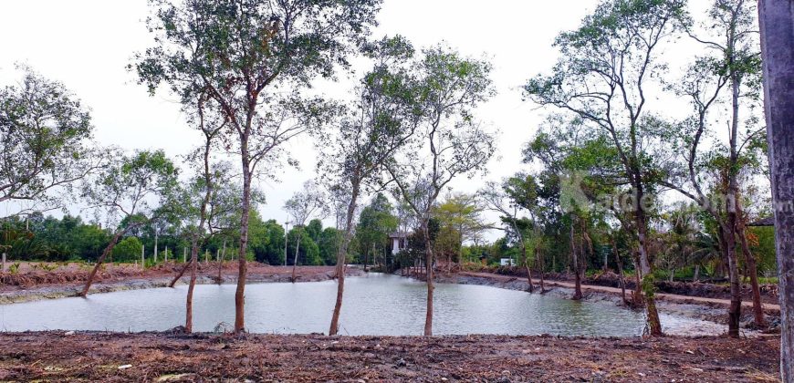 ขายที่ดินริมน้ำ เมืองสมุทรสาคร ต.นางตะเคียน ใกล้กรุงเทพ ที่ดินติดน้ำ 3 ไร่ ติดคลองแม่กลอง ที่คุ้งน้ำ วิวโค้งน้ำสวย ติดถนนลาดยางสะดวก ไม่เปลี่ยว ใกล้ตลาดน้ำท่าคา ตลาดน้ำอัมพวา 087-9074045