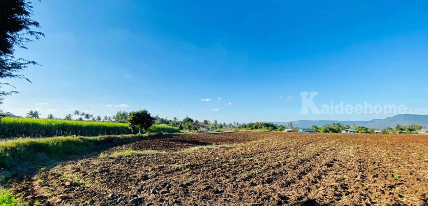 ขายถูกที่ดินเขาใหญ่ คลองม่วง ปากช่อง 15 ไร่ อยู่หลัง อบต.คลองม่วง ติดถนนลาดยาง วิวเขาสวยมาก เหมาะซื้อเก็งกำไร ทำฟาร์ม บ้านสวนเกษตร ใกล้เส้น 3060 Tayama Farm 087-907-4045