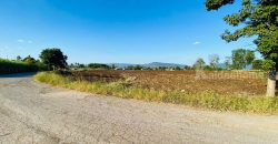 ขายถูกที่ดินเขาใหญ่ คลองม่วง ปากช่อง 15 ไร่ อยู่หลัง อบต.คลองม่วง ติดถนนลาดยาง วิวเขาสวยมาก เหมาะซื้อเก็งกำไร ทำฟาร์ม บ้านสวนเกษตร ใกล้เส้น 3060 Tayama Farm 087-907-4045