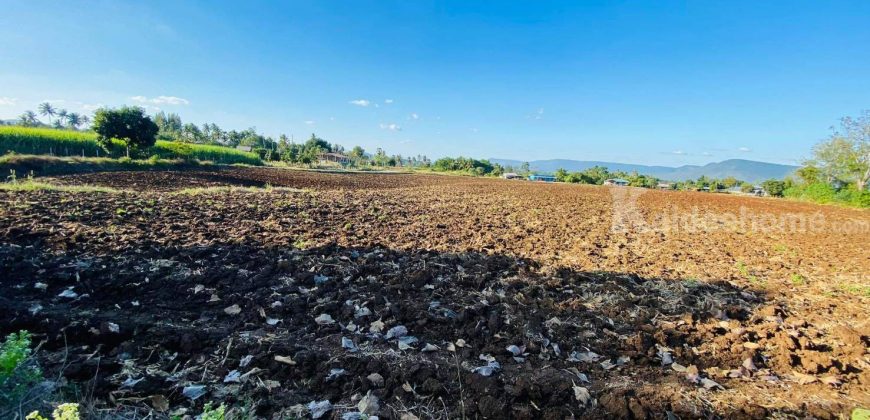 ขายถูกที่ดินเขาใหญ่ คลองม่วง ปากช่อง 15 ไร่ อยู่หลัง อบต.คลองม่วง ติดถนนลาดยาง วิวเขาสวยมาก เหมาะซื้อเก็งกำไร ทำฟาร์ม บ้านสวนเกษตร ใกล้เส้น 3060 Tayama Farm 087-907-4045