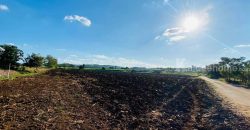 ขายถูกที่ดินเขาใหญ่ คลองม่วง ปากช่อง 15 ไร่ อยู่หลัง อบต.คลองม่วง ติดถนนลาดยาง วิวเขาสวยมาก เหมาะซื้อเก็งกำไร ทำฟาร์ม บ้านสวนเกษตร ใกล้เส้น 3060 Tayama Farm 087-907-4045