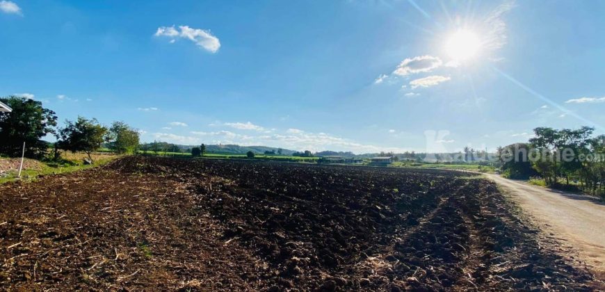 ขายถูกที่ดินเขาใหญ่ คลองม่วง ปากช่อง 15 ไร่ อยู่หลัง อบต.คลองม่วง ติดถนนลาดยาง วิวเขาสวยมาก เหมาะซื้อเก็งกำไร ทำฟาร์ม บ้านสวนเกษตร ใกล้เส้น 3060 Tayama Farm 087-907-4045