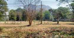 ขายที่ดินเขาใหญ่ หมูสี ปากช่อง ติดถนนธนะรัชต์ ติดน้ำลำตะคลอง 6 ไร่ ที่สวยมาก ลำธารน้ำไหลท้ายที่ ติดธนะรัชต์ ใกล้ทางขึ้นอุทยานแห่งชาติเขาใหญ่ เหมาะพัฒนาโรงแรม ที่พักตากอากาศ 087-9074045