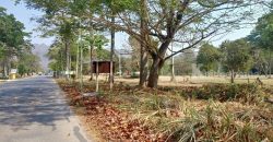 ขายที่ดินเขาใหญ่ หมูสี ปากช่อง ติดถนนธนะรัชต์ ติดน้ำลำตะคลอง 6 ไร่ ที่สวยมาก ลำธารน้ำไหลท้ายที่ ติดธนะรัชต์ ใกล้ทางขึ้นอุทยานแห่งชาติเขาใหญ่ เหมาะพัฒนาโรงแรม ที่พักตากอากาศ 087-9074045