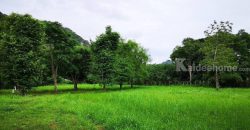 ขายที่ดินเขาใหญ่ หมูสี ปากช่อง ติดถนนธนะรัชต์ ติดน้ำลำตะคลอง 6 ไร่ ที่สวยมาก ลำธารน้ำไหลท้ายที่ ติดธนะรัชต์ ใกล้ทางขึ้นอุทยานแห่งชาติเขาใหญ่ เหมาะพัฒนาโรงแรม ที่พักตากอากาศ 087-9074045