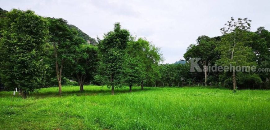 ขายที่ดินเขาใหญ่ หมูสี ปากช่อง ติดถนนธนะรัชต์ ติดน้ำลำตะคลอง 6 ไร่ ที่สวยมาก ลำธารน้ำไหลท้ายที่ ติดธนะรัชต์ ใกล้ทางขึ้นอุทยานแห่งชาติเขาใหญ่ เหมาะพัฒนาโรงแรม ที่พักตากอากาศ 087-9074045