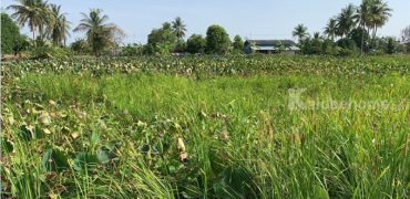 ขายที่ดิน 4 ไร่ ถ.นฐ 4041 ต.ดอนรวก ดอนตูม นครปฐม ห่างจุดขึ้นลงทางด่วนบางใหญ่-กาญจนบุรี ประมาณ 4 กม.