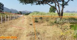 ขายที่ดิน 2 ไร่ สวย ทรงสีเหลี่ยมผืนผ้า ใกล้แม่น้ำแควน้อย อยู่บ้านท่ามะเดื่อ หมู่ที่2 ตำบลศรีมงคล อำเภอไทรโยค จังหวัดกาญจนบุรี