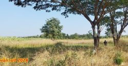 ขายที่ดิน 2 ไร่ สวย ทรงสีเหลี่ยมผืนผ้า ใกล้แม่น้ำแควน้อย อยู่บ้านท่ามะเดื่อ หมู่ที่2 ตำบลศรีมงคล อำเภอไทรโยค จังหวัดกาญจนบุรี