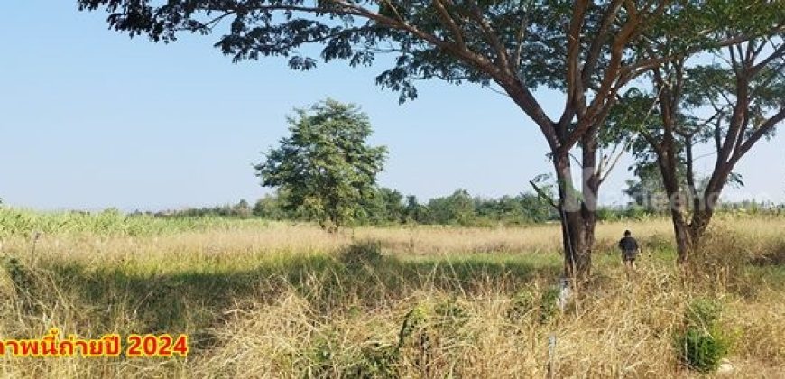 ขายที่ดิน 2 ไร่ สวย ทรงสีเหลี่ยมผืนผ้า ใกล้แม่น้ำแควน้อย อยู่บ้านท่ามะเดื่อ หมู่ที่2 ตำบลศรีมงคล อำเภอไทรโยค จังหวัดกาญจนบุรี