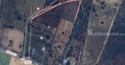 ขายที่ดิน 2 ไร่ สวย ทรงสีเหลี่ยมผืนผ้า ใกล้แม่น้ำแควน้อย อยู่บ้านท่ามะเดื่อ หมู่ที่2 ตำบลศรีมงคล อำเภอไทรโยค จังหวัดกาญจนบุรี