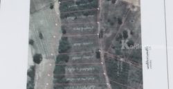 ขายที่ดิน 2 ไร่ สวย ทรงสีเหลี่ยมผืนผ้า ใกล้แม่น้ำแควน้อย อยู่บ้านท่ามะเดื่อ หมู่ที่2 ตำบลศรีมงคล อำเภอไทรโยค จังหวัดกาญจนบุรี