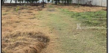 ขายที่ดินติดทะเล เกาะยอ อำเภอเมืองสงขลา 3-2-67.8 ไร่ น่าอยู่ การเดินทางสะดวก Tel. 0632897879