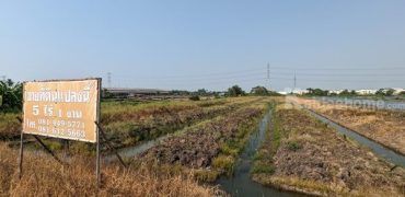ขายที่ดินเปล่า 5ไร่ 1งาน 2ตรว. ถนน 6 เลน รถผ่านมากมาย ท่ามกลางชุมชน ทำเลดีม๊ากกกกก เจ้าของขายเอง โทร. 081-6125663