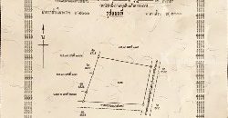 ขายที่ดิน ติดถนน 304 นครราชสีมา-กบินทร์บุรี ฝั่งเข้าตัวเมืองนครราชสีมา เจ้าของขายเอง