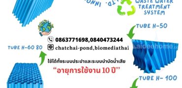 ขาย Tube Settler โทร 086-3771698 ราคา 3400 บาท