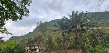 ขายที่ดินเขาใหญ่ ที่ติดเขา โครงการมูนแดนซ์ Moondance 364 ตร.ว หมูสี ใกล้กุดคล้าผ่านศึก โครงการติดถนนธนะรัชต์ ใกล้อุทยานแห่งชาติเขาใหญ่ อากาศดีมาก มีเพื่อนบ้านไม่เปลี่ยว 087-9074045