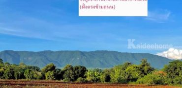 ขายที่ดินเขาใหญ่ 1 ไร่ หมูสี โป่งตาลอง ปากช่อง วิวเขาอุทยานแห่งชาติสวยมาก ทำเลดี ติดถนนลาดยางเดินทางสะดวก ไม่เปลี่ยว เหมาะทำบ้านพักตากอากาศ ใกล้ทอสคาน่า บ้านคลองดินดำ 3052 087-9074045