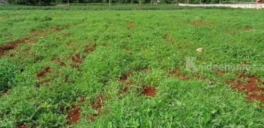 ขายที่วิวเขาใหญ่ 5 ไร่ หมูสี โป่งตาลอง สระน้ำใส ปากช่อง ที่สวยมาก หน้าติดถนนลาดยางเส้นหลัก เหมาะทำรีสอร์ต สร้างบ้านทำธุรกิจ ใกล้ธนะรัชต์ ทอสคาน่า ขายถูกมาก 087-9074045