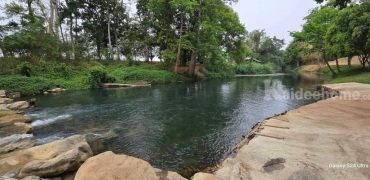 ขายที่ติดน้ำ เขาใหญ่ 21 ไร่ หน้ากว้างติดลำตะคอง สวยมาก อยู่ซอยกำนันโจ้ หนองสาหร่าย ขนงพระ ปากช่อง ใกล้ธนะรัชต์ 12 กม. ใกล้เส้น 2235 เพียง 5.6 กม. ที่สวยร่มรื่น ต้นไม้เยอะ (แบ่งขายได้) 087-9074045