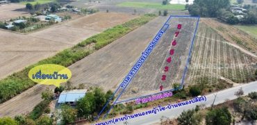 ขายที่ดินโฉนด จ.สุพรรณบุรี เริ่มต้นที่ 200 ตร.ว อ.หนองหญ้าไซ ติดถนนลาดยาง มีน้ำไฟ โทร 063-9269699