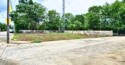 ขายที่ดินแฮปปี้เพลซพาร์ค ลาดกระบัง 120 ตารางวา แปลงมุม ถมแล้ว ราคาถูก