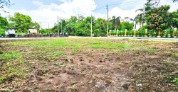 ขายที่ดินแฮปปี้เพลซพาร์ค ลาดกระบัง 120 ตารางวา แปลงมุม ถมแล้ว ราคาถูก