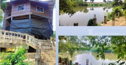 ให้เช่าที่ดินติดแม่น้ำพร้อมบ้าน 2 ชั้น 4 ไร่ ถ. ลิ้นช้าง – บ้านเก่า ต.วังเย็น กาญจนบุรี ด้านหน้าติดถนน เหมาะ ร้านอาหาร โฮมสเตย์
