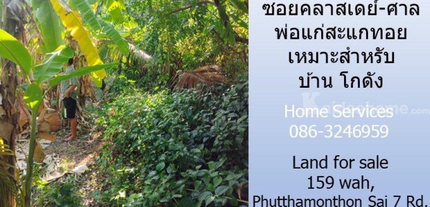 ขายที่ดิน 159 วา ถ.พุทธมณฑล สาย 7 ซอยคลาสเดย์-ศาลพ่อแก่สะแกทอย เหมาะสำหรับบ้าน โกดัง   