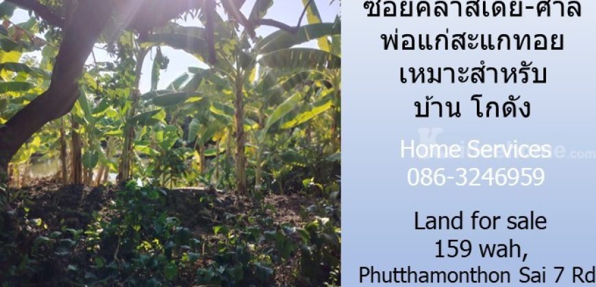 ขายที่ดิน 159 วา ถ.พุทธมณฑล สาย 7 ซอยคลาสเดย์-ศาลพ่อแก่สะแกทอย เหมาะสำหรับบ้าน โกดัง   