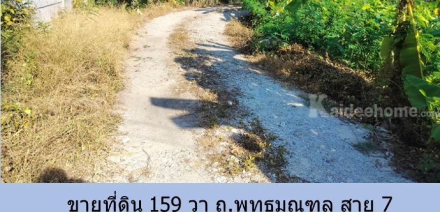 ขายที่ดิน 159 วา ถ.พุทธมณฑล สาย 7 ซอยคลาสเดย์-ศาลพ่อแก่สะแกทอย เหมาะสำหรับบ้าน โกดัง   