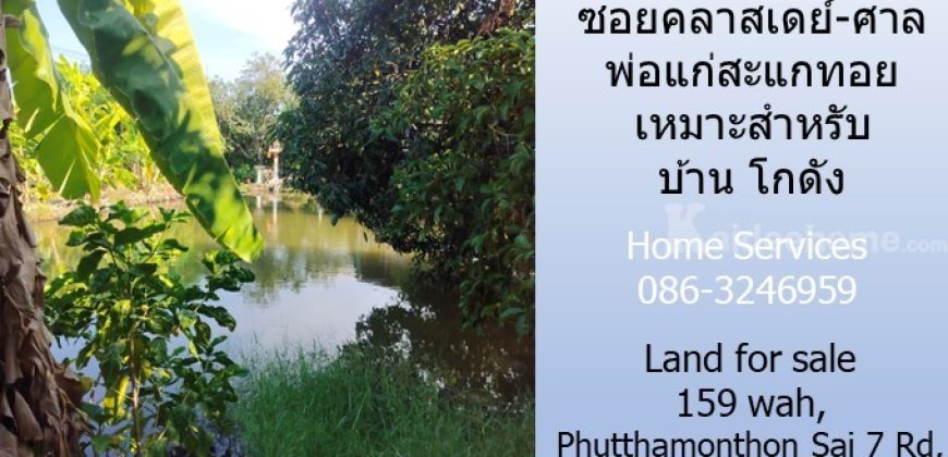 ขายที่ดิน 159 วา ถ.พุทธมณฑล สาย 7 ซอยคลาสเดย์-ศาลพ่อแก่สะแกทอย เหมาะสำหรับบ้าน โกดัง   